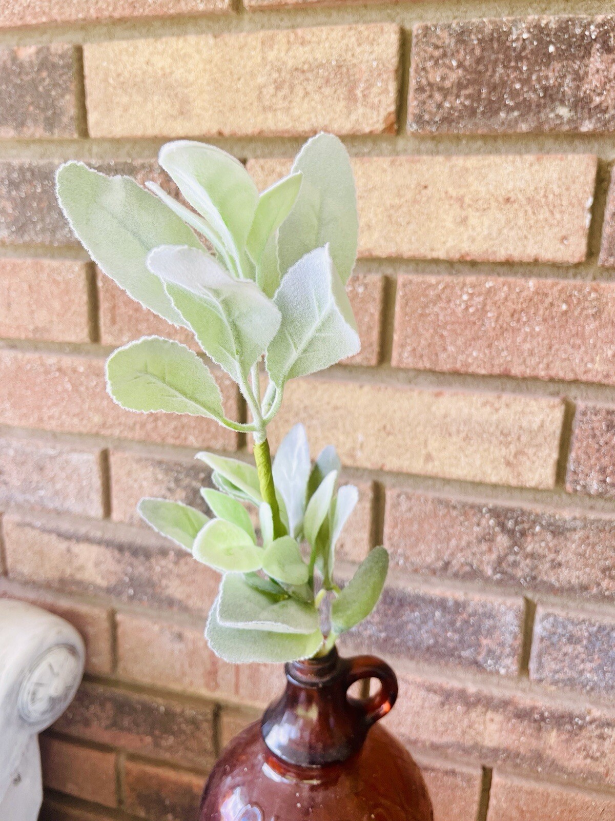 Lamb’s Ear Pick, 13” Bundle Of 3