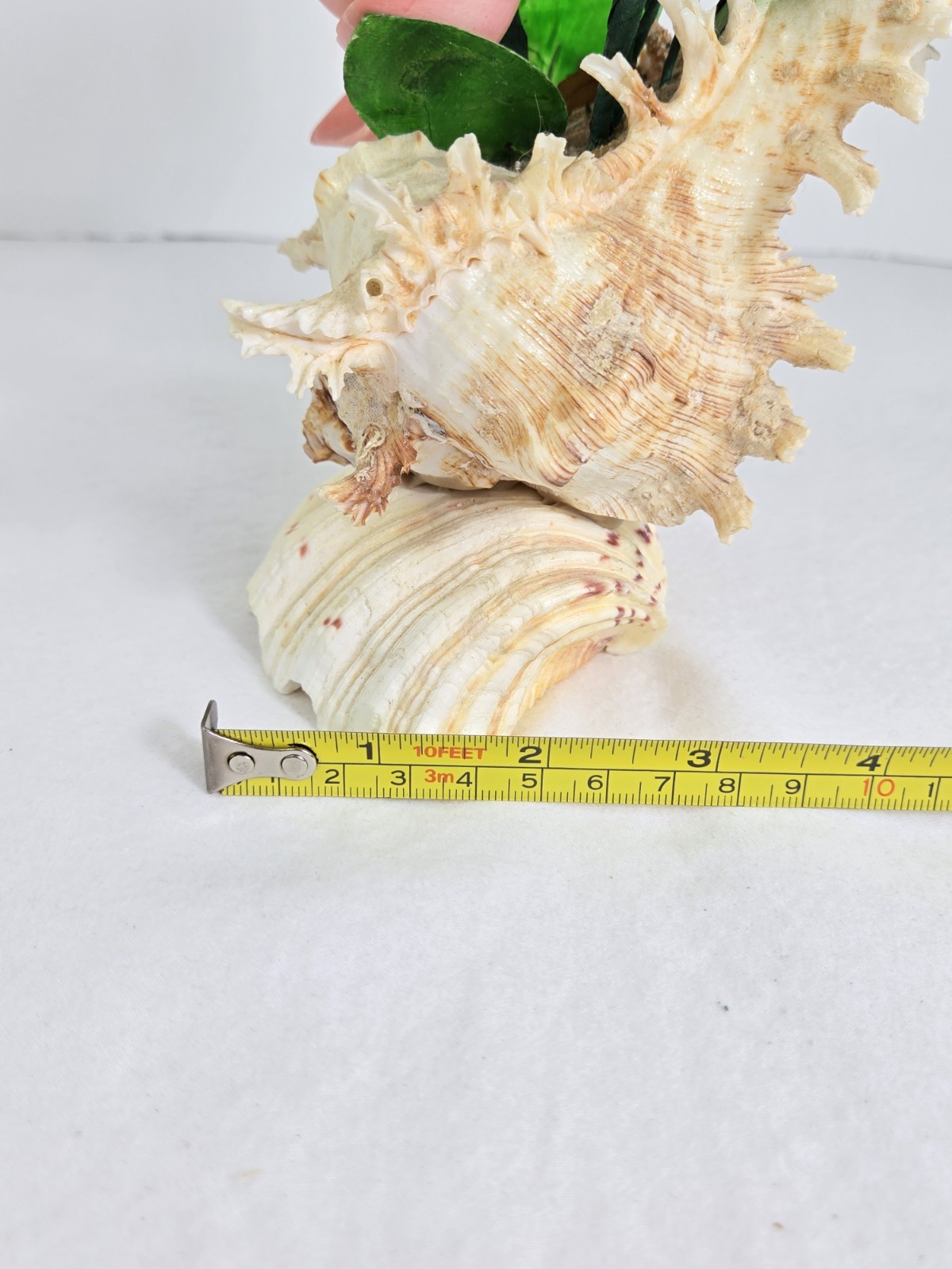 Vintage Seashell Flower Arrangement Pink Green Bouquet Decor Tropical Cottage