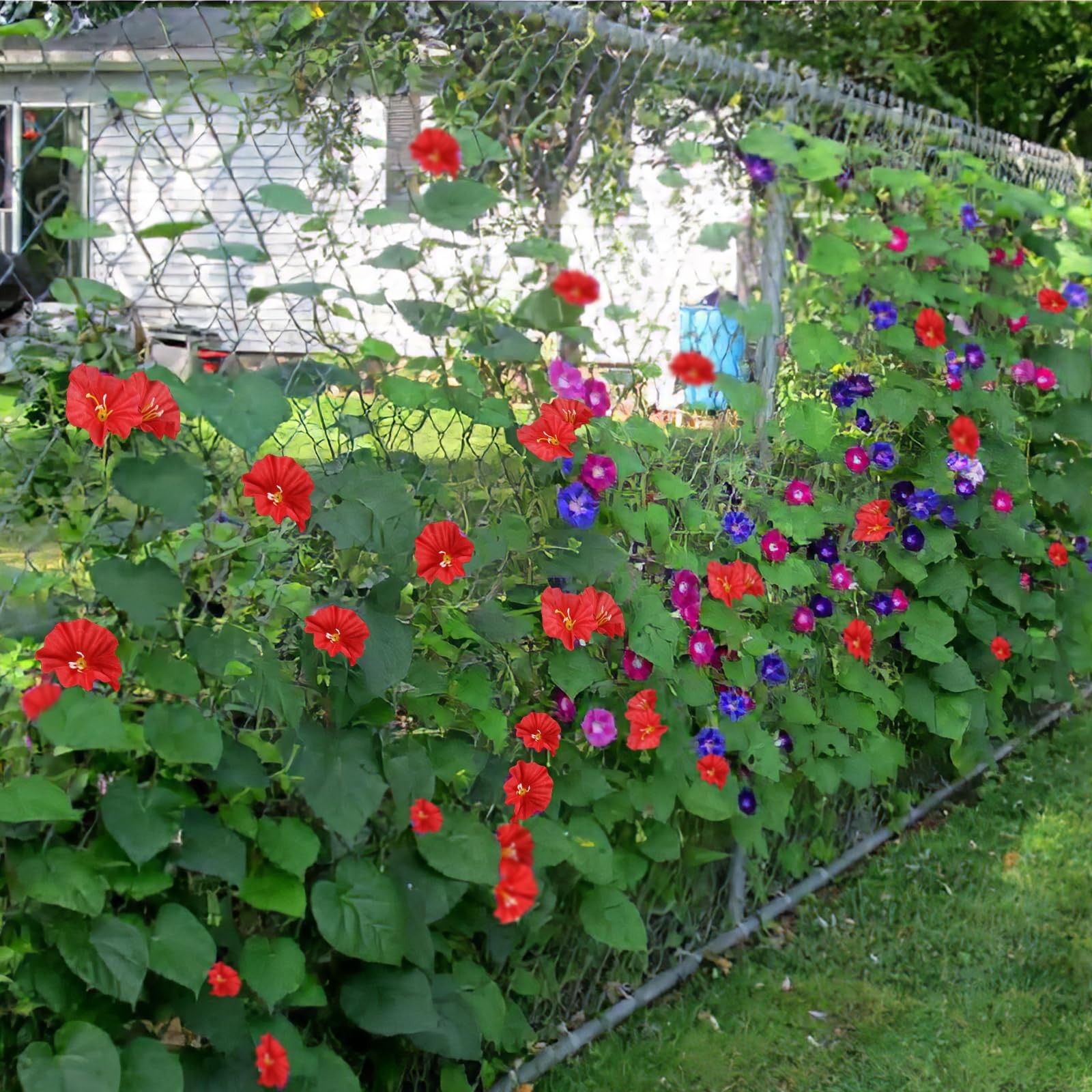 2 Pcs Artificial Vines Silk Morning Glory Vines for Outdoor 15Feet Hanging Pl…