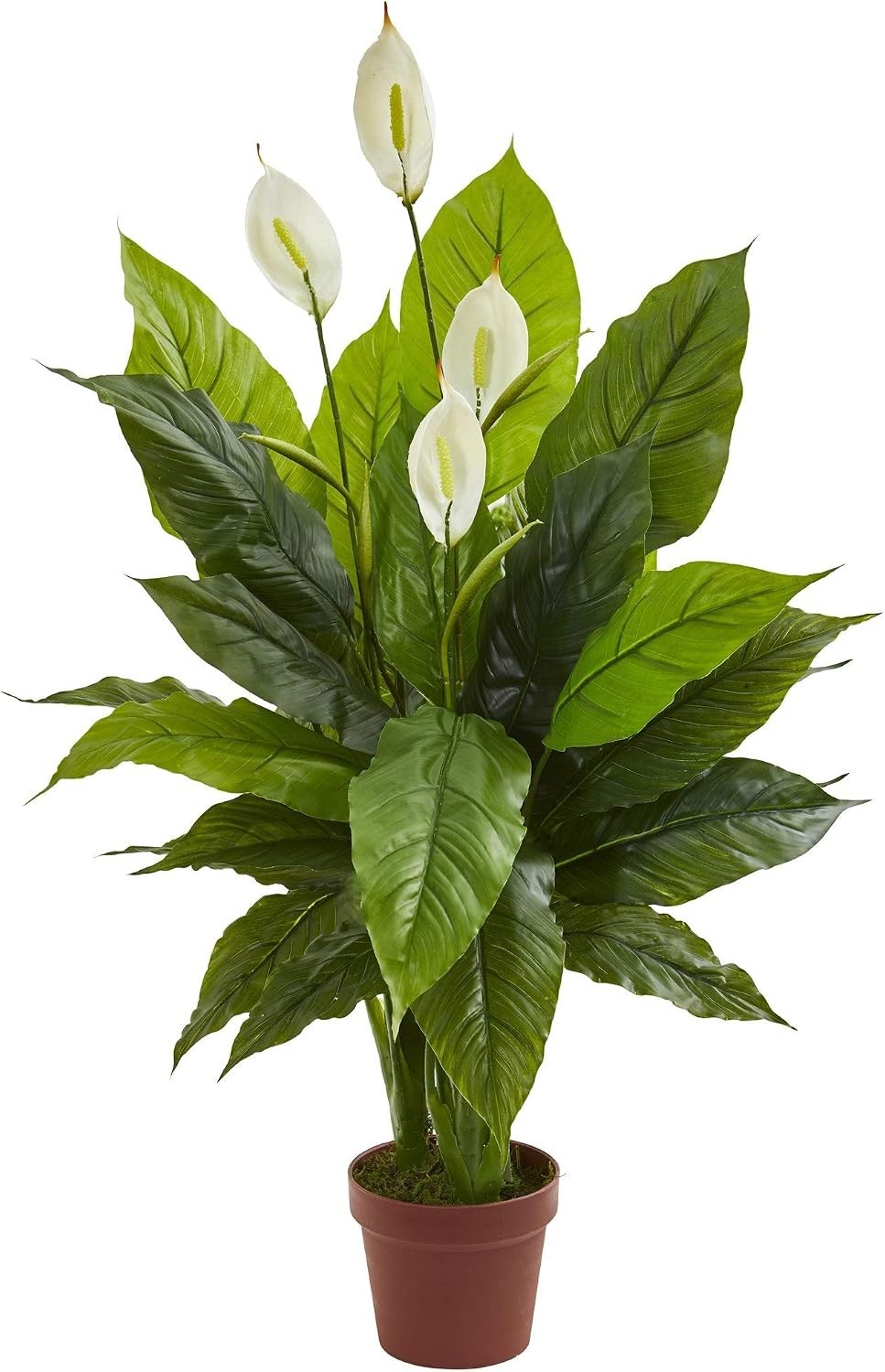 42 in Artificial Spathiphyllum Peace Lily Real Touch Plant | Silk Leaves with…