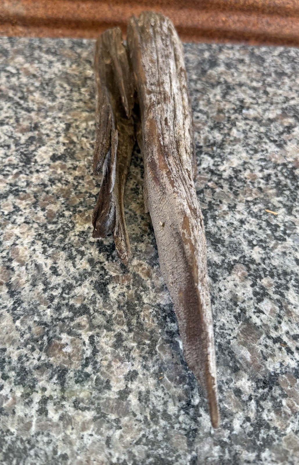 Natural DRIFTWOOD 15” Piece Terrarium Taxidermy Aquarium Art Reptile Decor