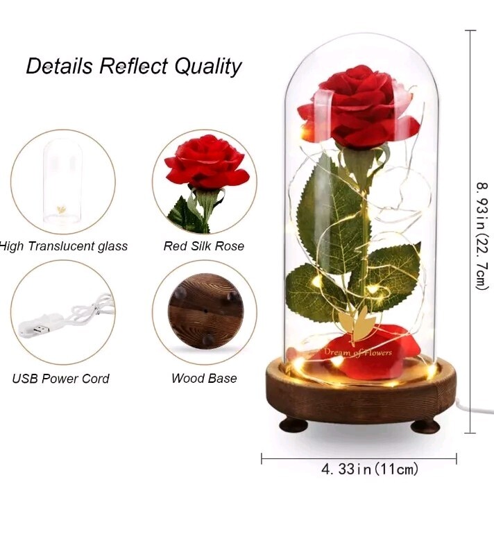 Rose Gifts for Women Beauty and the Beast Rose Kit, Red Silk Rose Lasts Forever