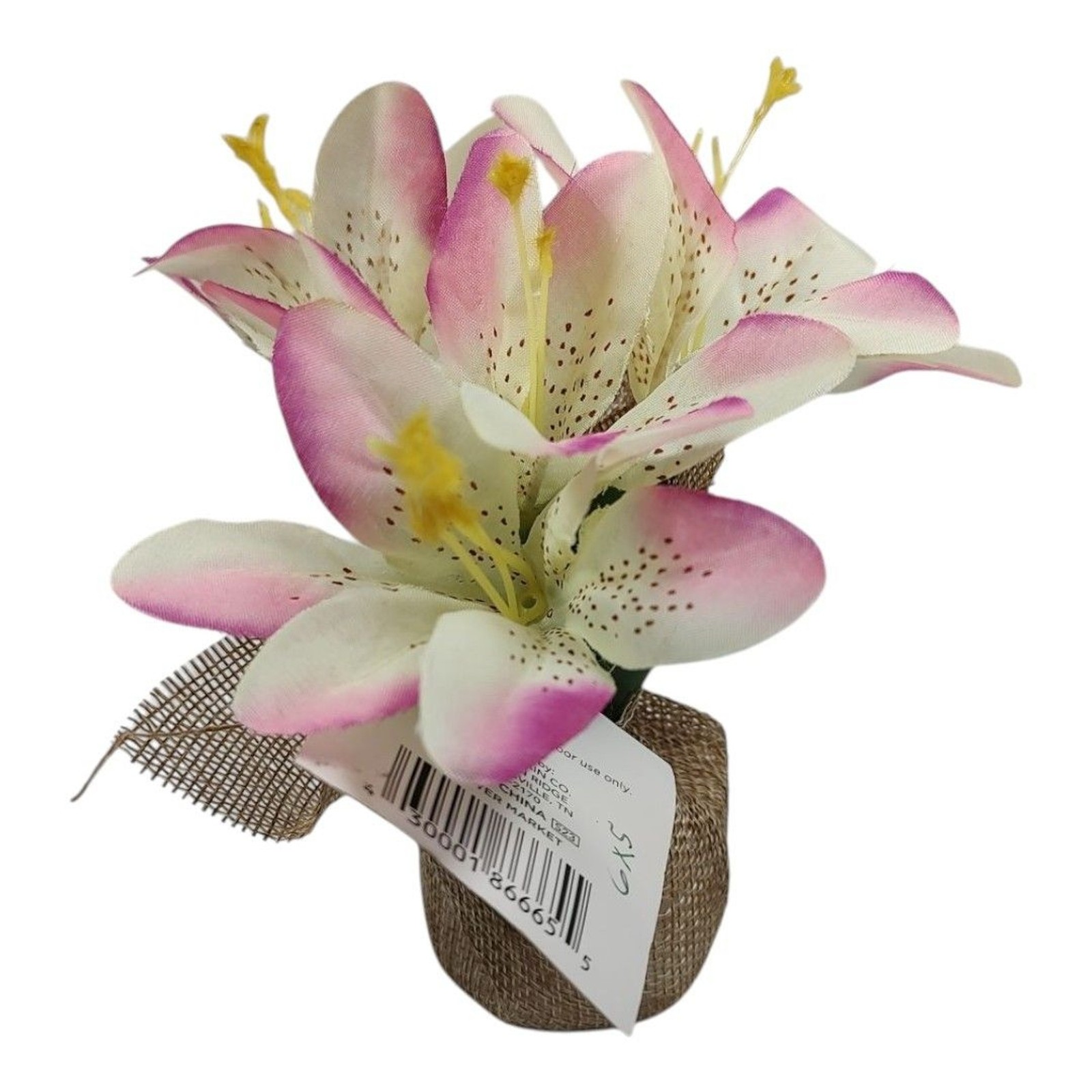 Trueliving Floral Arrangement Flower Bouquet Mini Potted Plant 6″ x 5″ Lily
