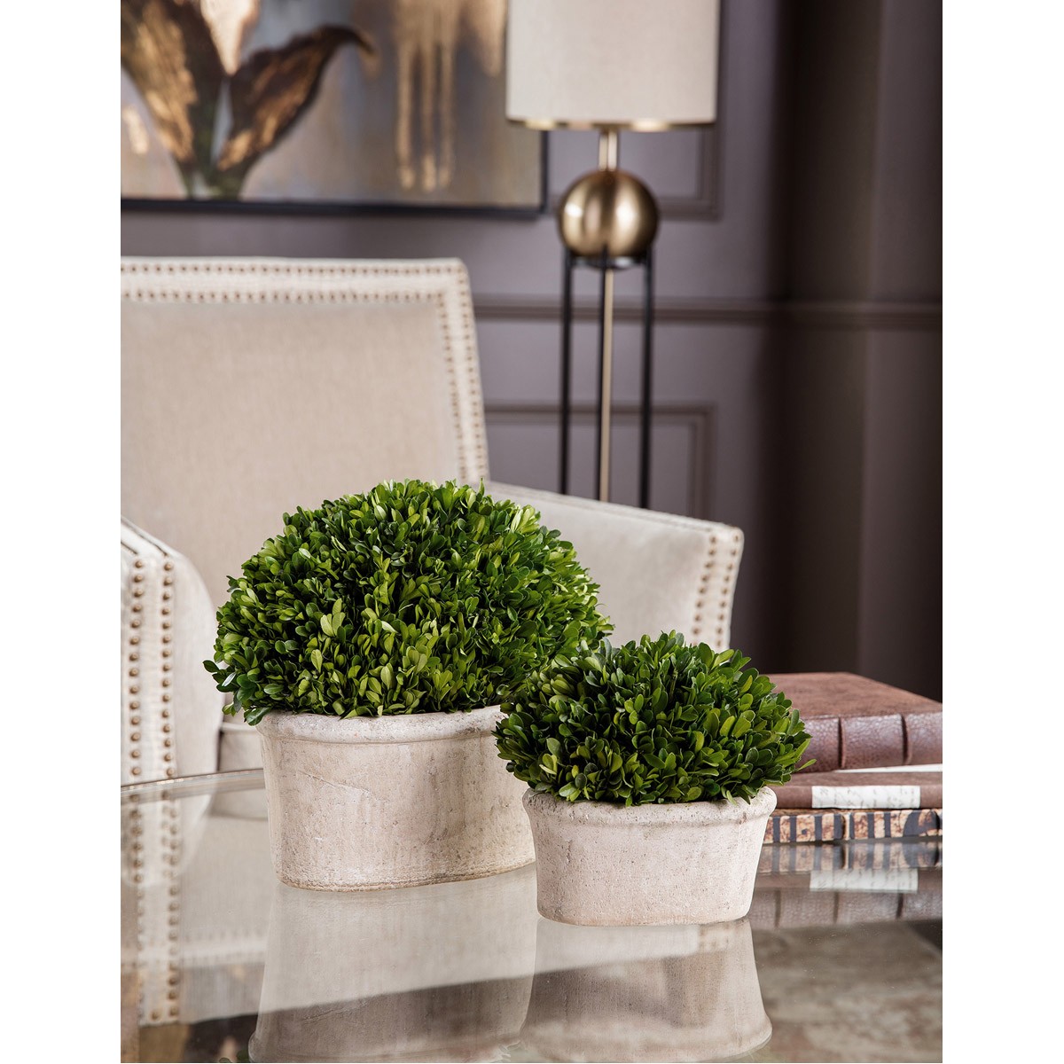 Uttermost 60107 Preserved Boxwood Natural Evergreen Foliage Botanicals