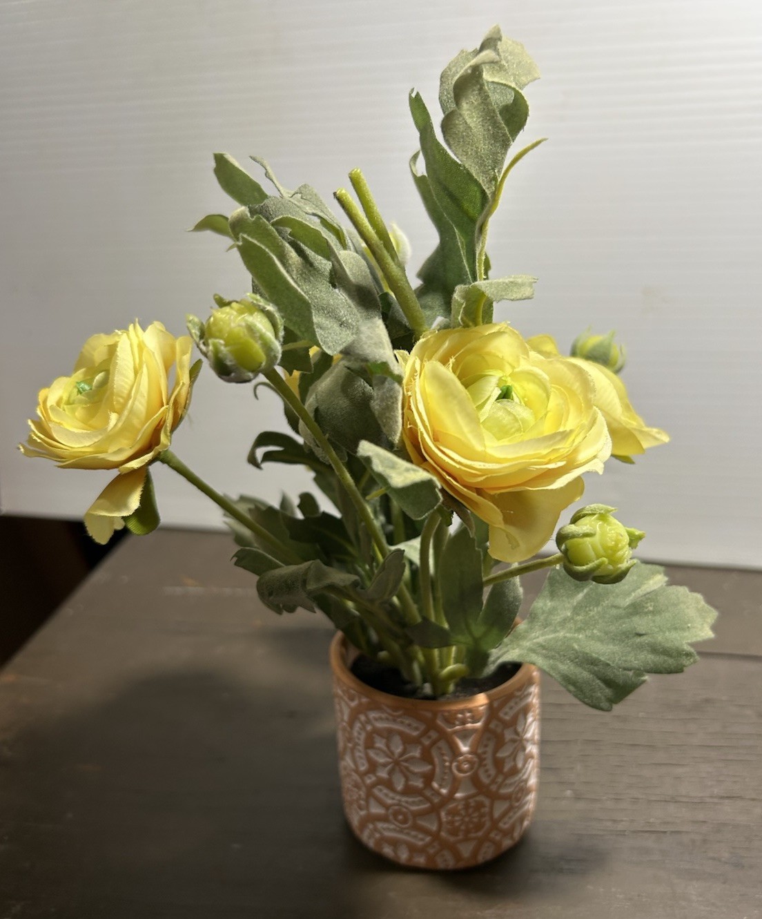 Yellow Ranunculus Flowers In Patterned, Terra-Cotta Pot, Sage, Green Foliage