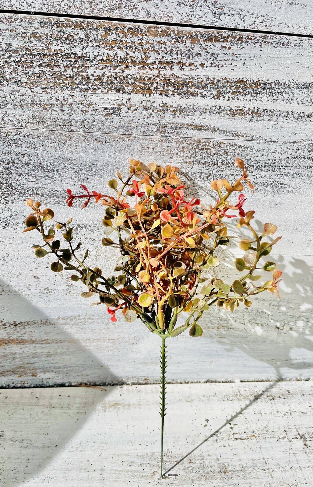Red Baby’s Grass Pick, 9”
