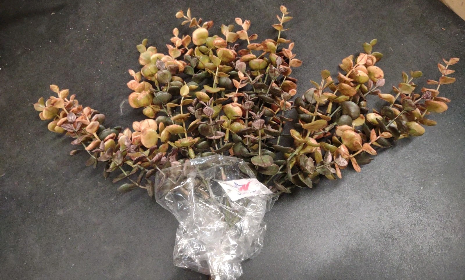 Plastic Spiral Eucalyptus Bush, Autumn Brown Gold & Green, 6 Branch 13″ Baby Euc