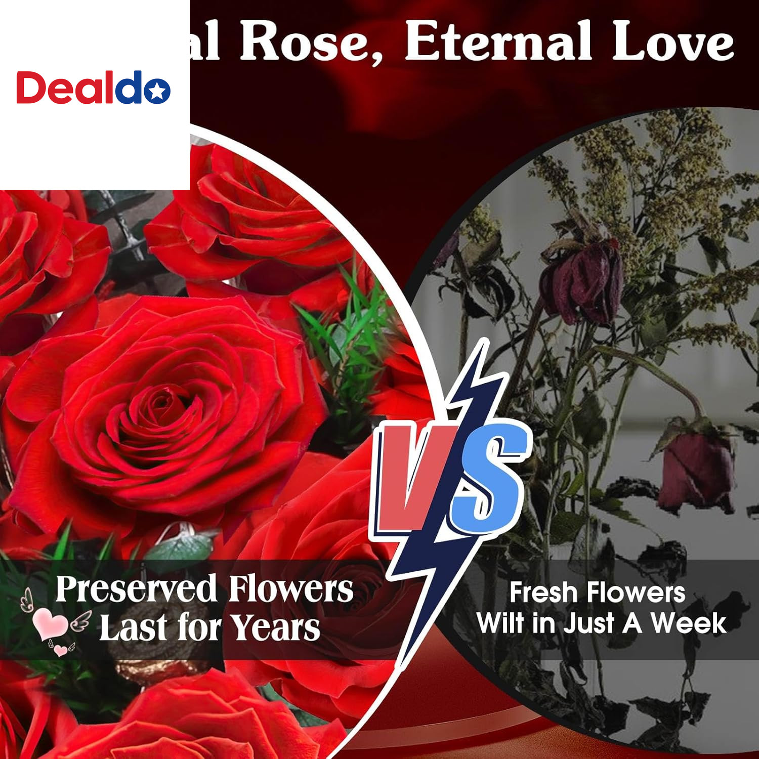 24 Preserved Real Red Rose Bouquet Long-Lasting Flowers for Her and Romantic Gif