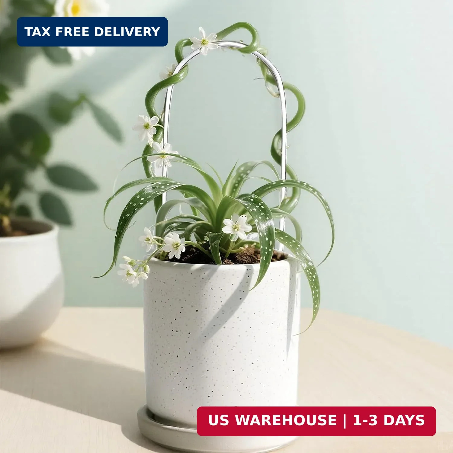 2 Pack Thickened U-Shaped Acrylic Trellis for Indoor Plants, Small Clear Plant T