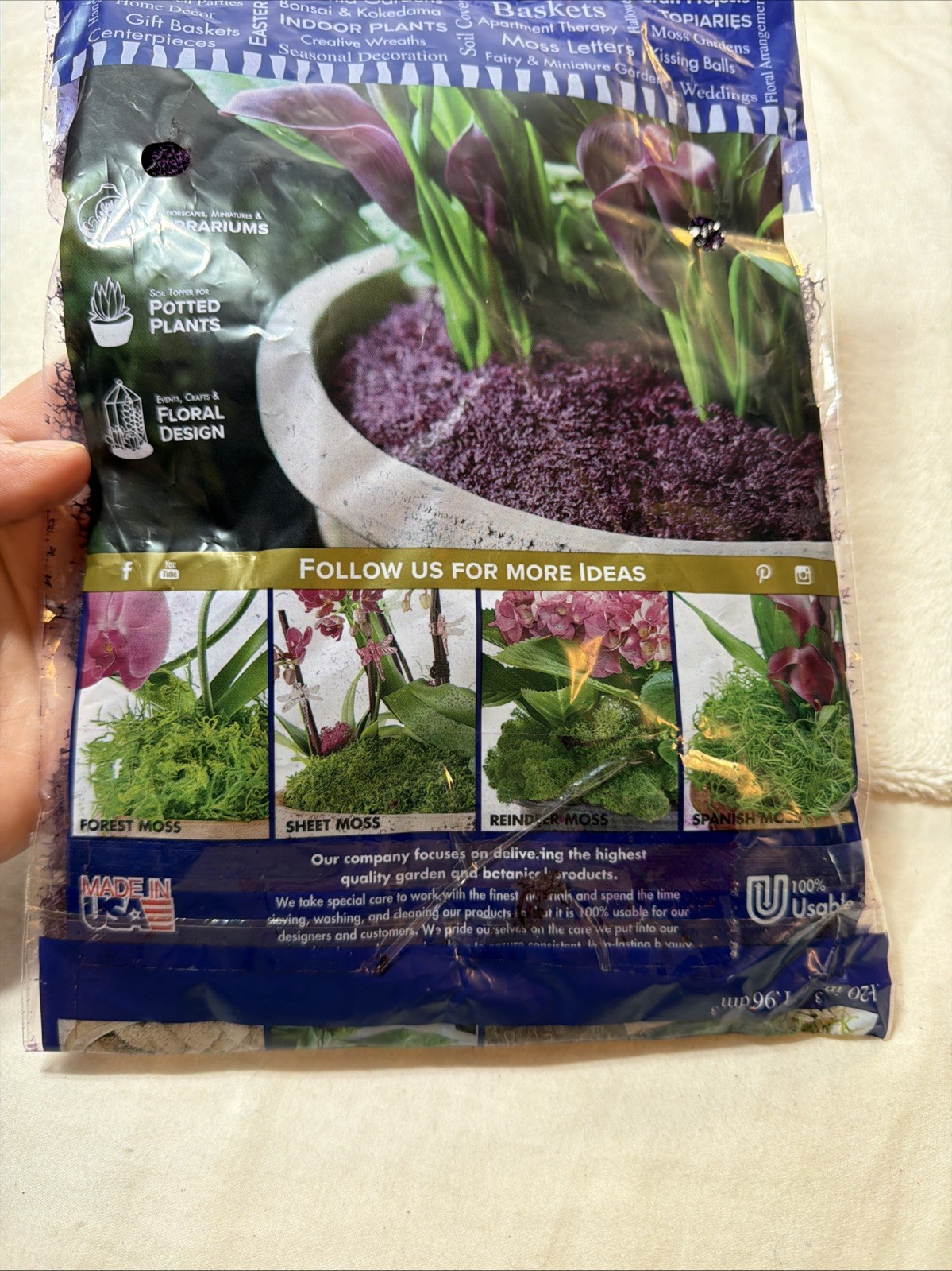 2oz of Soft, Vibrant Purple Reindeer Moss – A Delight for Eco-Conscious Crafters