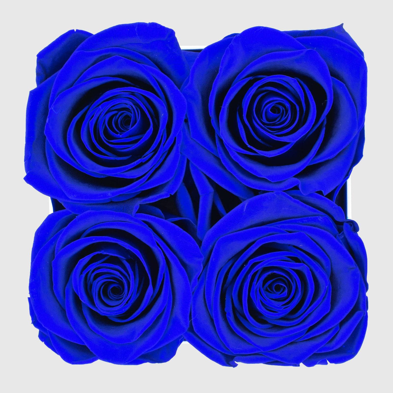 Graceful Fleurs Real Long Lasting Roses in a Box for Years, Preserved Fresh
