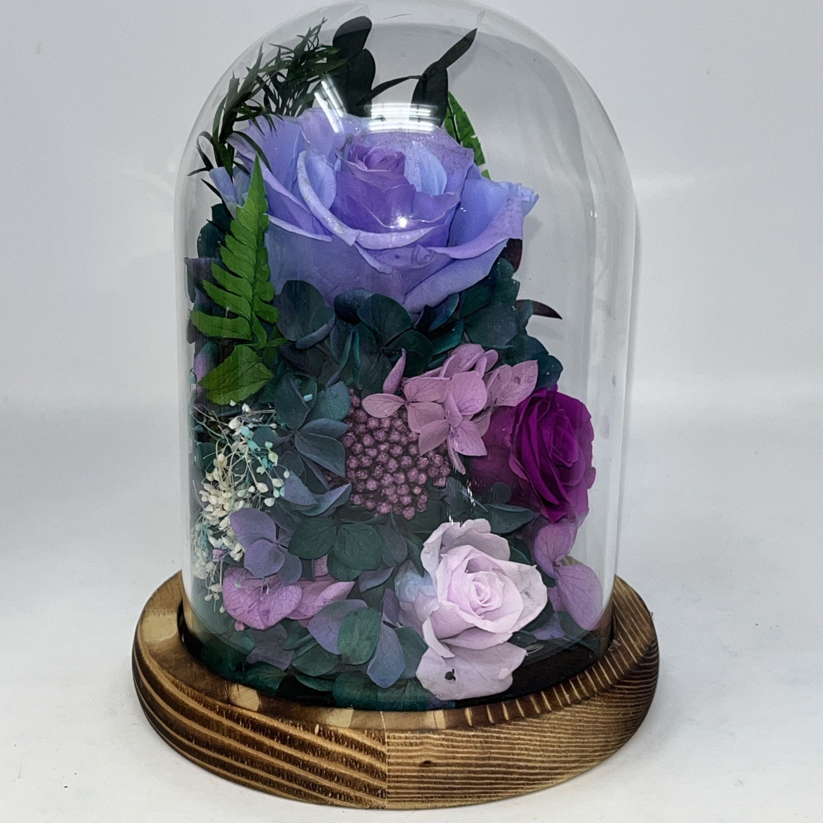 Glass Dome Preserved Roses Flowers in Lighted Wood Base