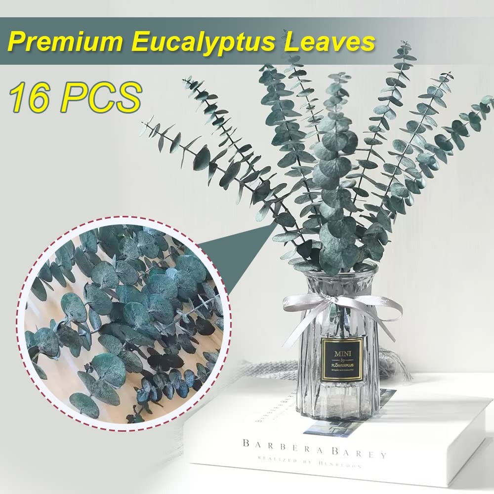 16Pcs Dried Eucalyptus Stems, 17” Real Preserved Eucalyptus Shower Plant