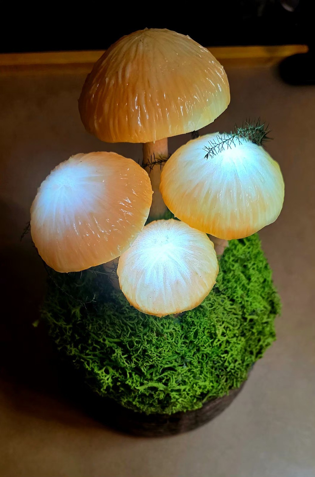 Mushroom “Fungi” Table Light Battery Operated Whimsical Cottagecore
