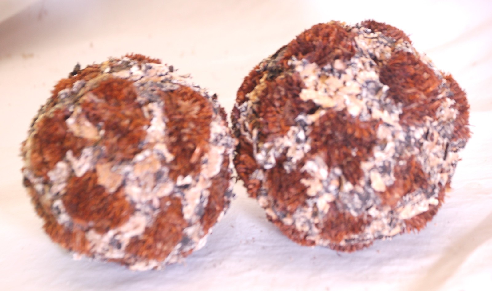 Moss Balls Decorative Bowl Filler Assorted Sizes d