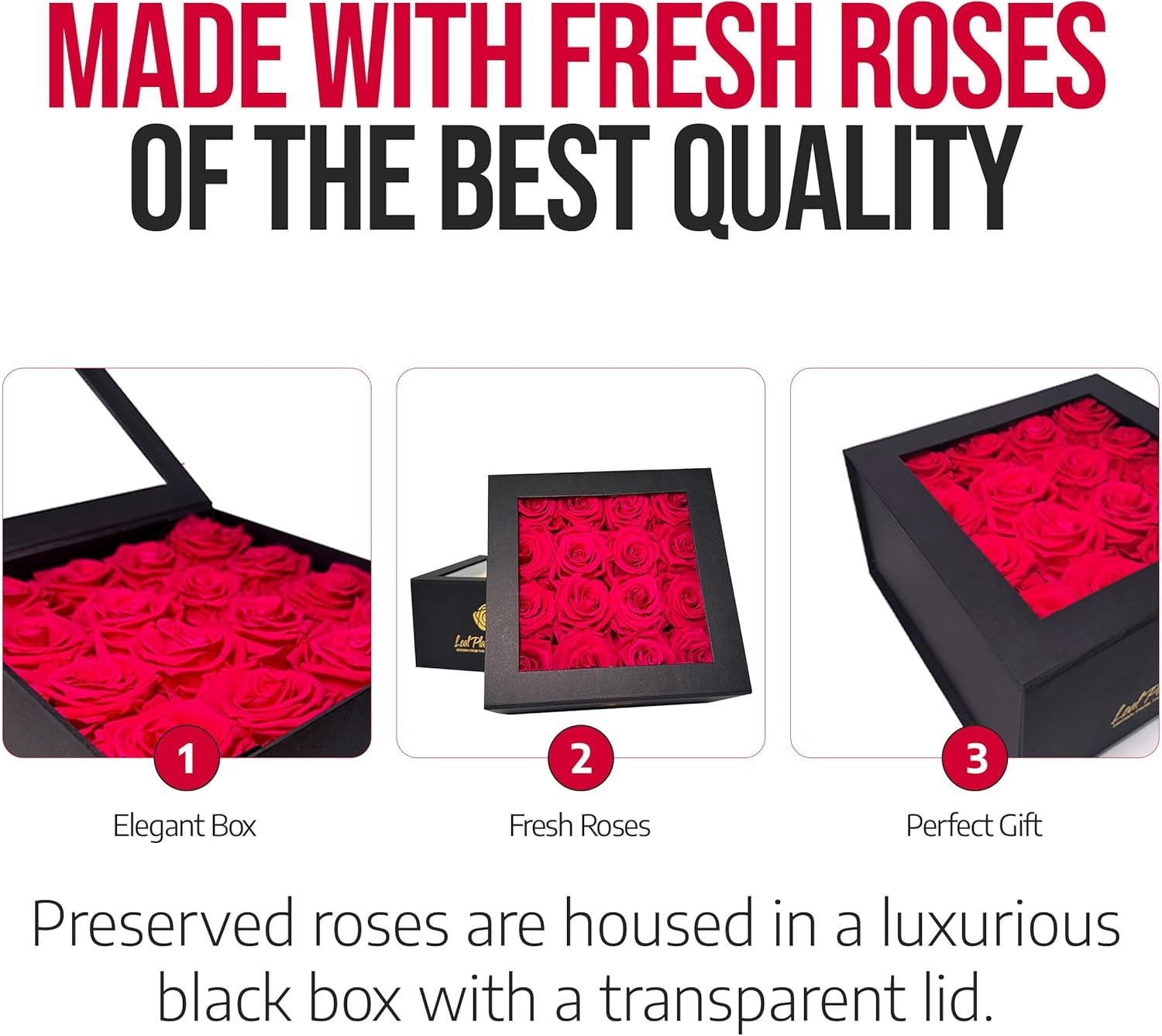 Premium Real Preserved Roses 16 PCS 100% Real Red Roses Lasting Up to 3 Years
