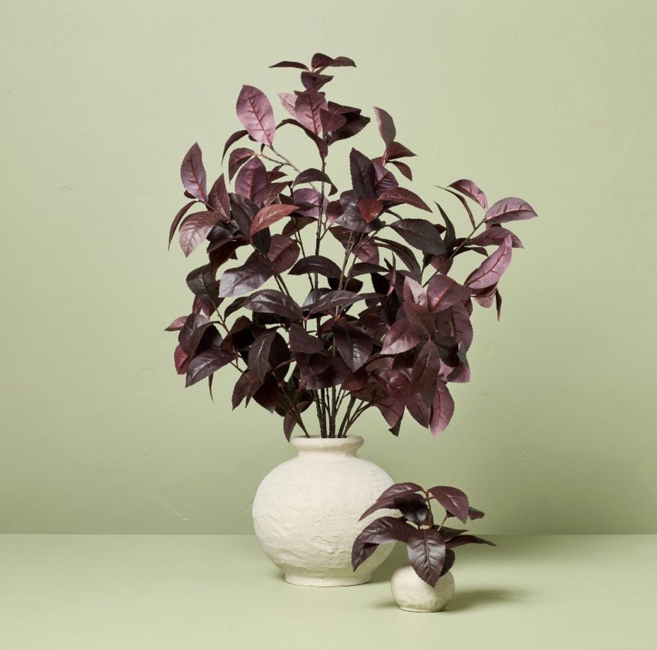 6.5″ Black Plum Leaf Artificial Plant Arrangement Hearth & Hand with Magnolia