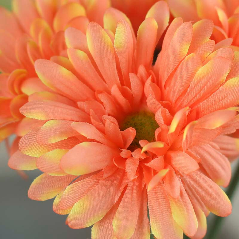 Set of 2 Peach Artificial Gerbera Daisy 10-1/2″ Bundles