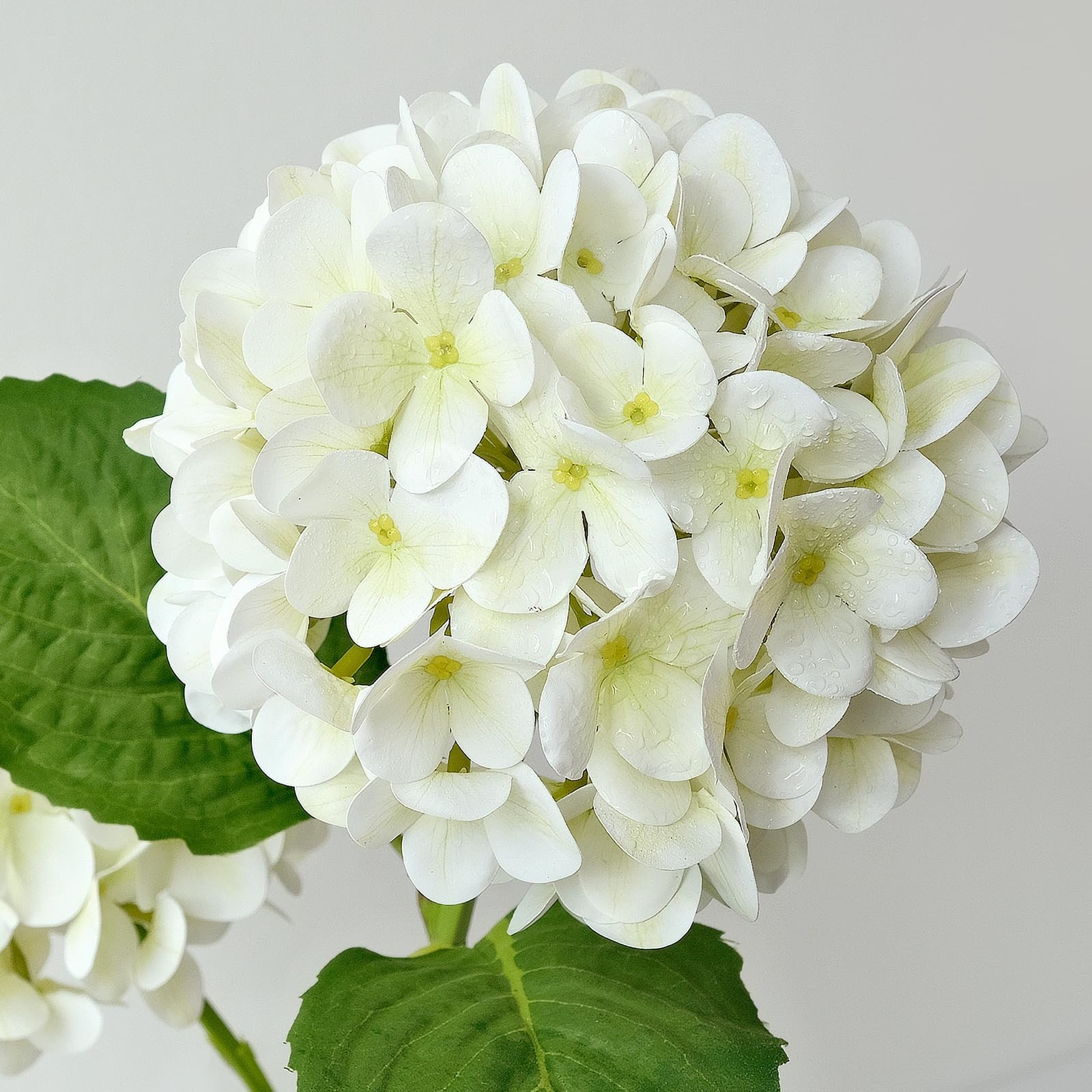 White Silk Hydrangea Artificial Flowers Large Heads With Long Stems Green Leaves