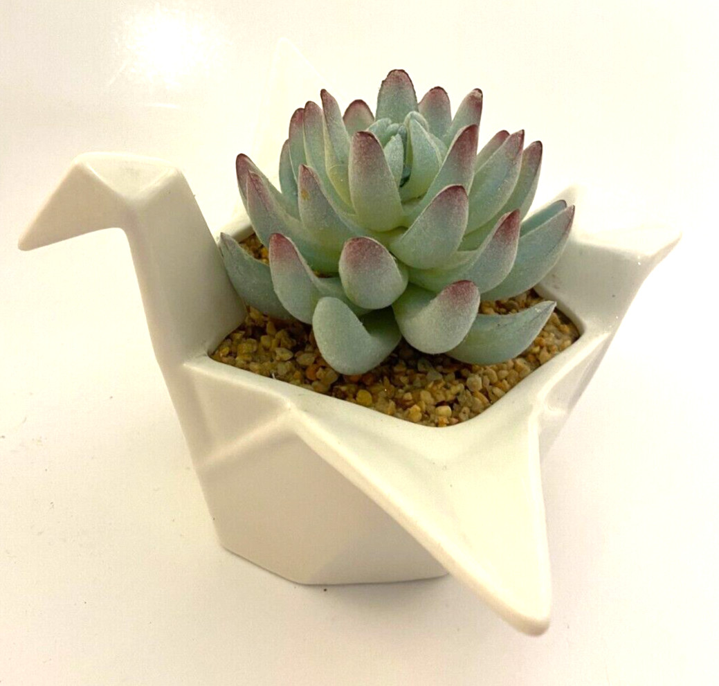 Origami Swan Faux Succulent White Ceramic Francesca’s 7.5″