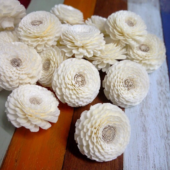 15 Zinnia Sola Wood Diffuser Flowers 5 cm Dia. for Decorate Craft