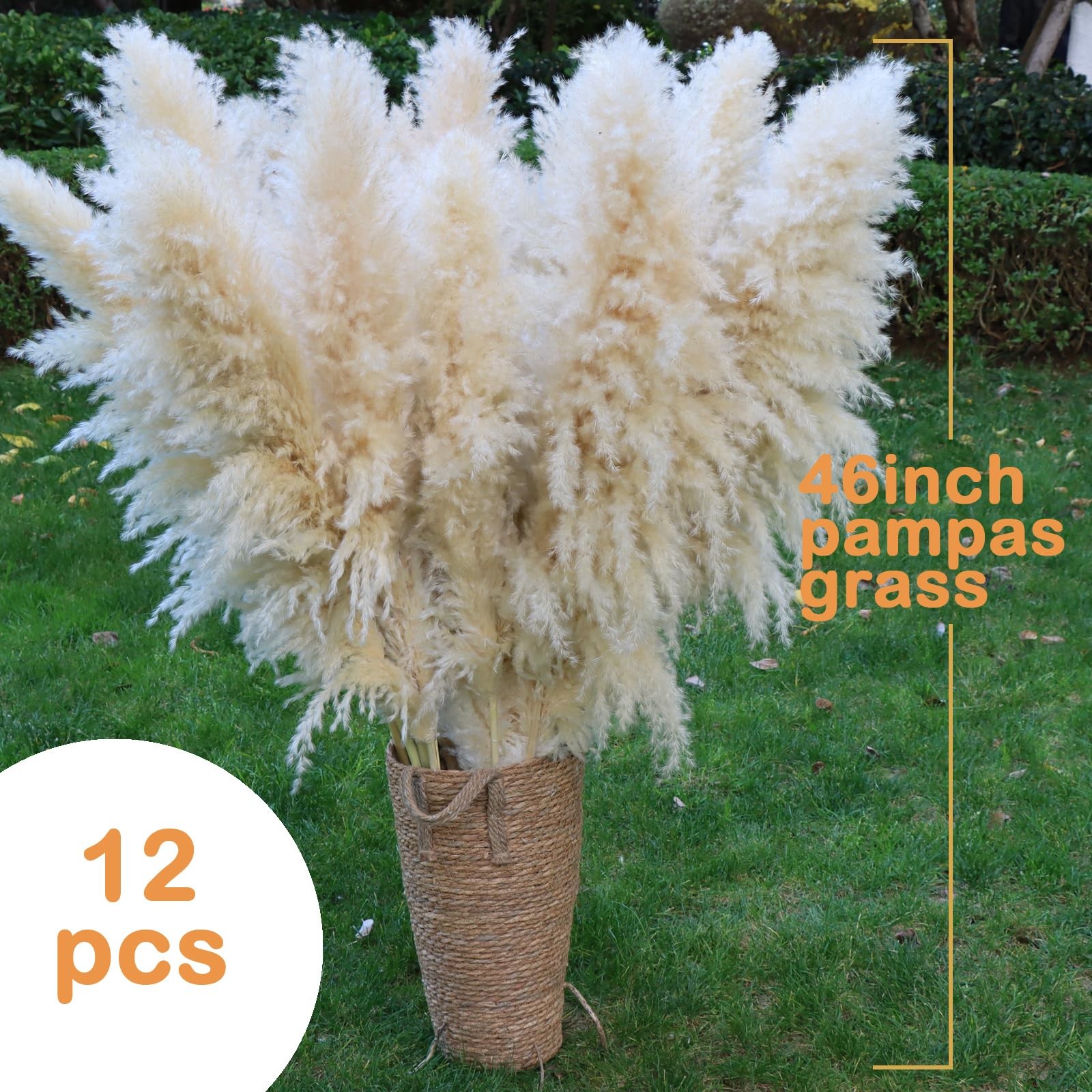 12 PCS 46 Inch Dried Pampas Grass Decor Tall Beige Pompas Floral Floor Vase