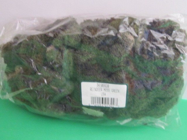PRESERVED NATURAL REINDEER MOSS GREEN FOR CRAFTS VILLAGES & RAILROAD DISPLAYS