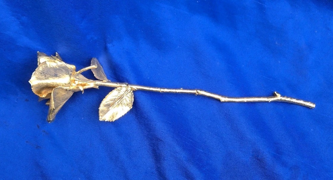 Gorgeous Gold Dipped Rose Semi Open Bud 11″
