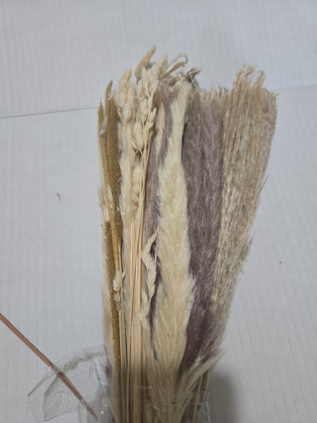New Yatim Pampas Grass Decor Farmhouse Party Approx. 90 pcs.17in. tall