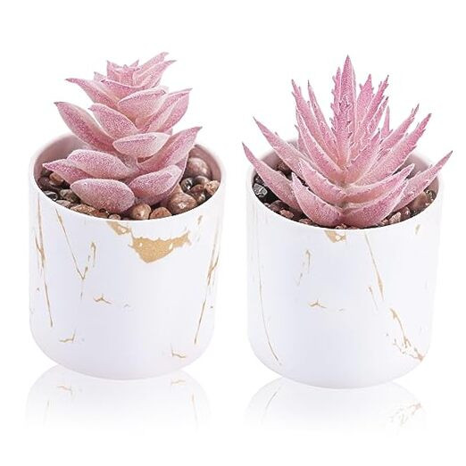 Set of 2 Succulents Plants Artificial Mini Fake Succulents Plants for Office