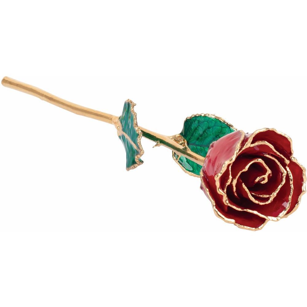 24k Gold Dipped Ruby Colored Lacquer Real Rose Valentine’s Day Holiday Gift