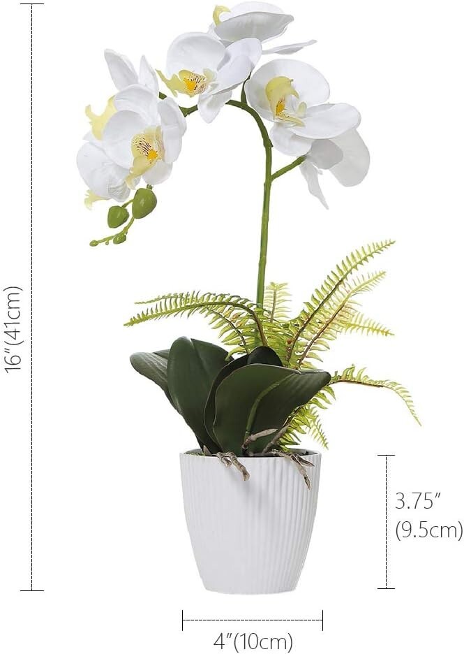 Decorative 16-Inch White Orchid – Perfect for Homes & Events – Low Maintenance
