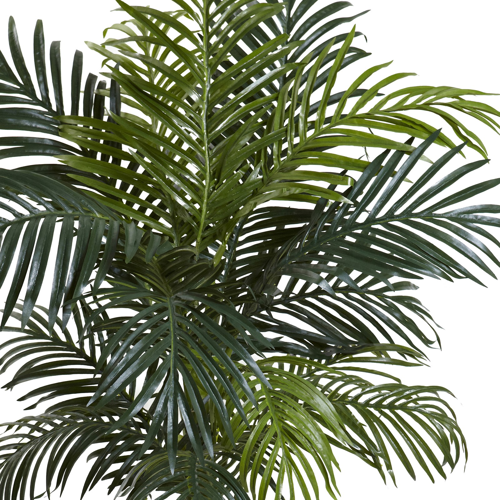 Nearly Natural 54″ Golden Cane Palm with Decorative Container in Green/Brown