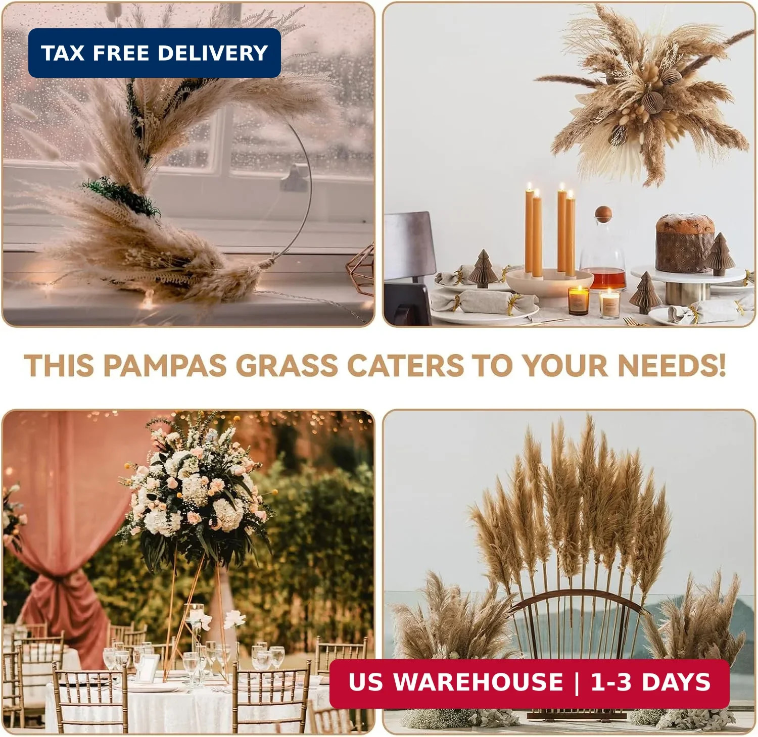 710Pcs Natural Dried Pampas Grass Decor, 9 Types Dried Flowers for Vase, Boho Pa