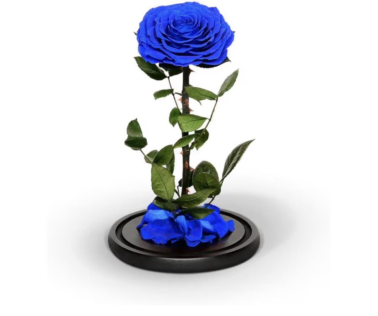 Haigivt Preserved Blue Rose Arrangement in Glass Dome 8.7″ x 5.5″ Floral Decor