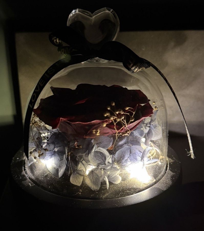 Real Preserved Forever Rose LED Eternal Rose For Your Eternal Love In Glass Dome