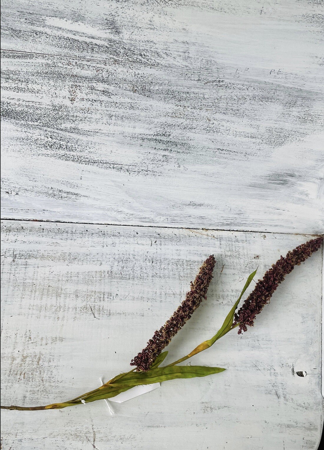 Burgundy Millet Stem, Bundle Of 3, NEW