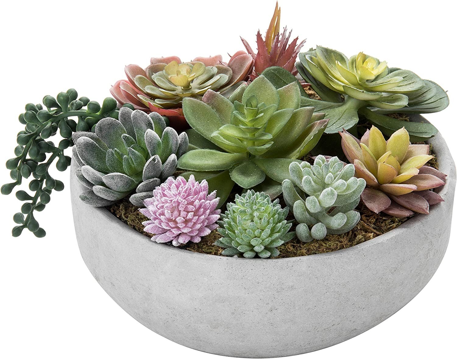 8-Inch Decorative Artificial Succulent Plant Arrangement in Concrete Gray Pot