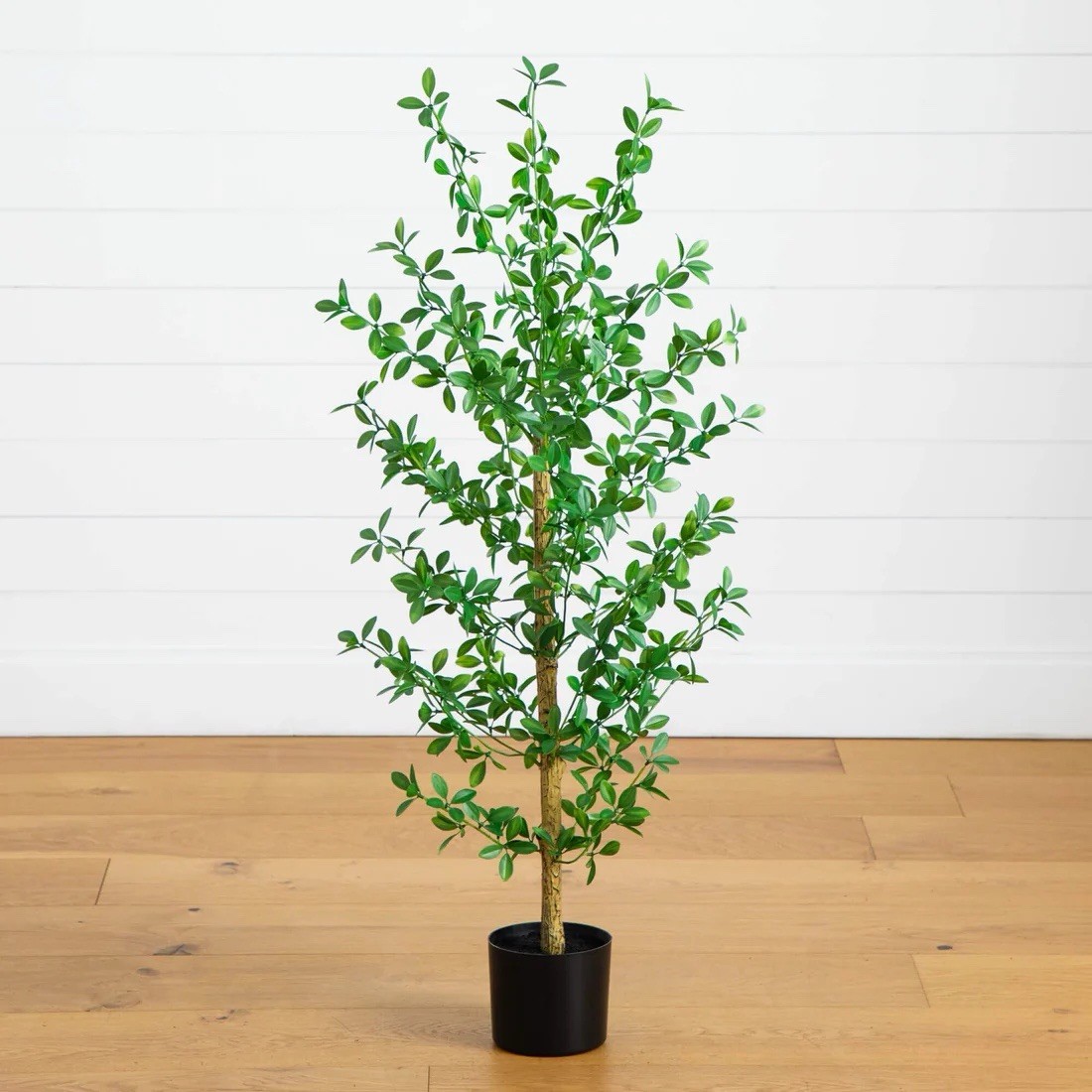 4′ Artificial Shady Lady Black Olive Tree