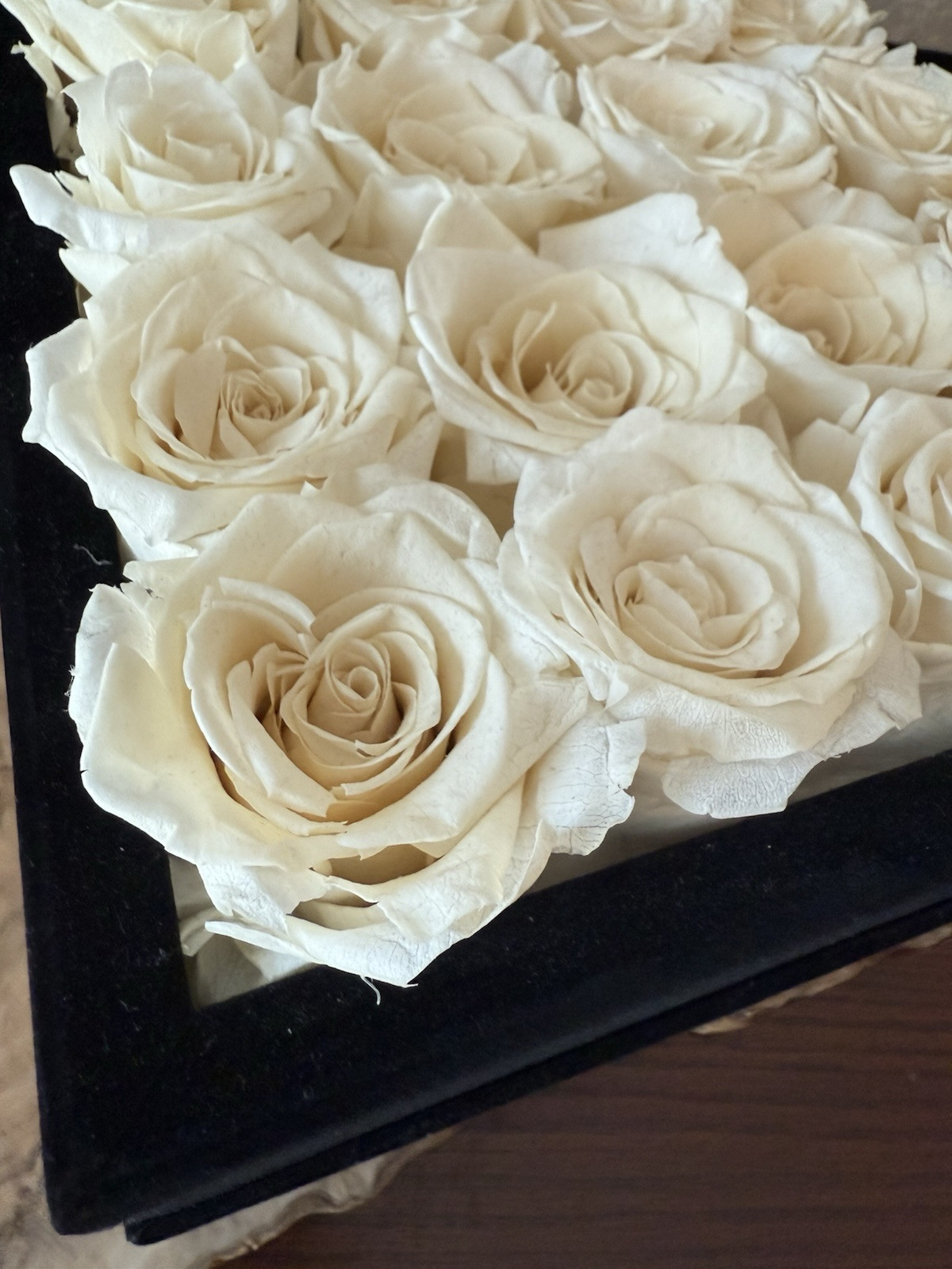 Rose Forever New York Real Preserved 16 White Roses Rose Black Velvet Square Box