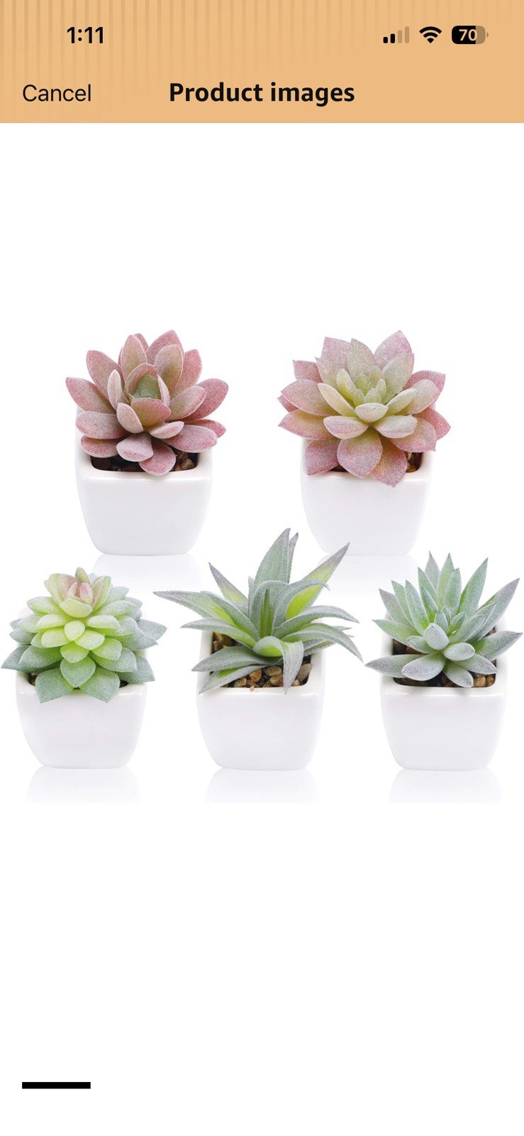 FUNARTY 5pcs Artificial Succulent Plants, Small Fake Desk Plants Mini Succulents