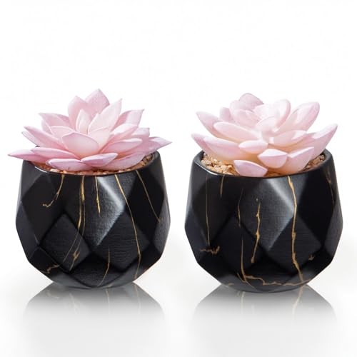 Artificial Succulent Plants in 2 Ceramic Pots, Cute Fake Plants for Black