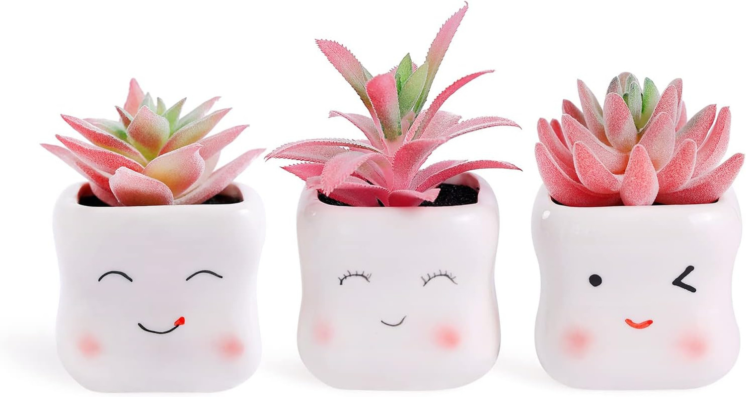 Adorable Mini Faux Succulents in Pots for Home Office Decor and Accessories