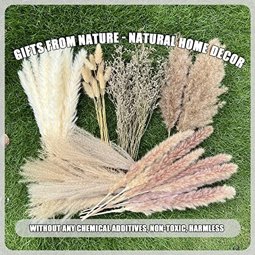 Pcs Pampas Grass Boho Home Decor 17 inch Natural Dried Flowers-Pampas Grass 100