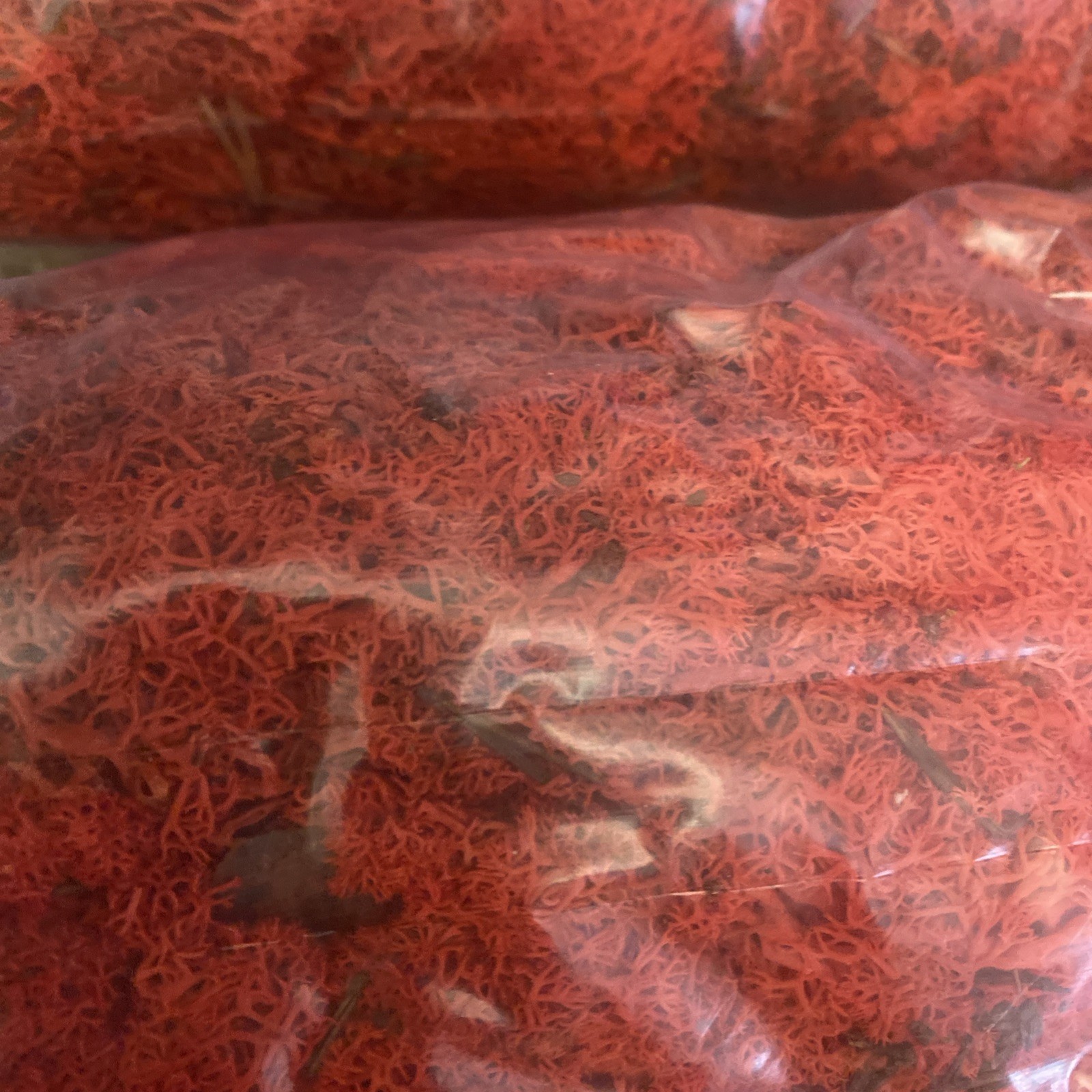 Preserved Reindeer Moss Approximately 0ne Pound Fake Moss for Crafts Rose Red