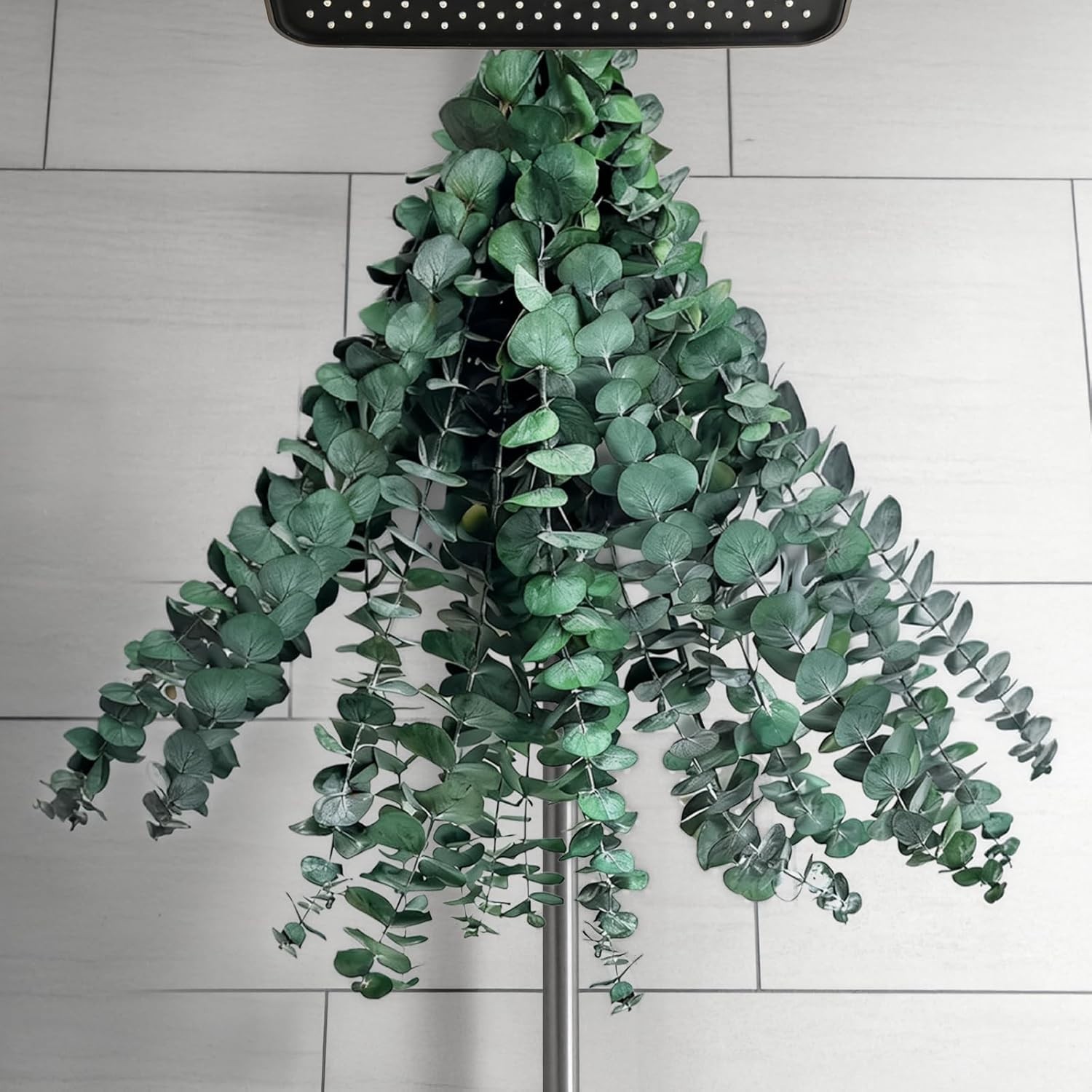 20 PCS Dried Eucalyptus Stems for Shower Hanging, 100% Made from Fresh Leaves…