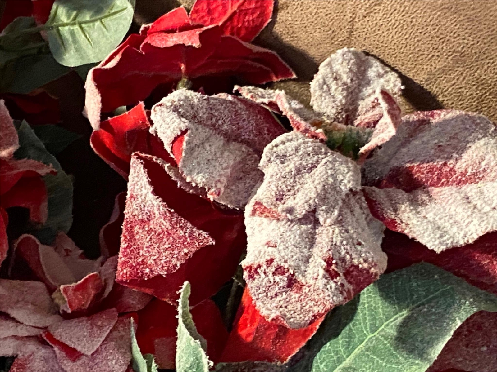 Lot of 8 Artificial Flowers Christmas Holiday Snow Covered Poinsettia Bloom Room