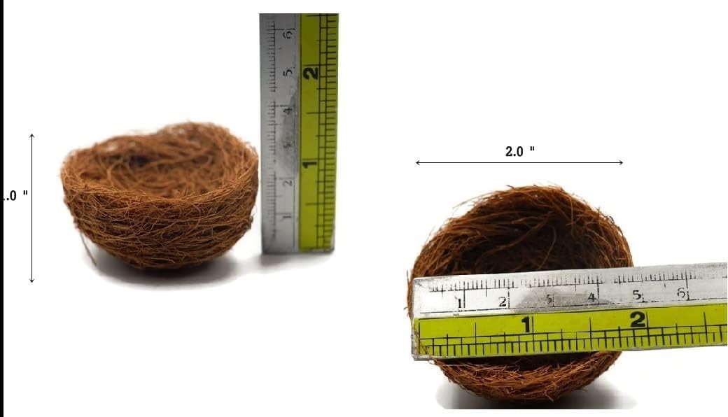 Set of 3 Natural Coconut Fiber Bird Nests – Rustic Decorative Accents for Home