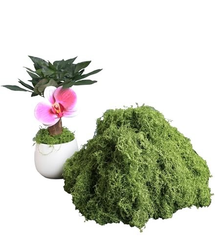 5.3oz Green Fake Moss Artificial Floral Moss Faux Plant for DIY Crafts Fairy Gar