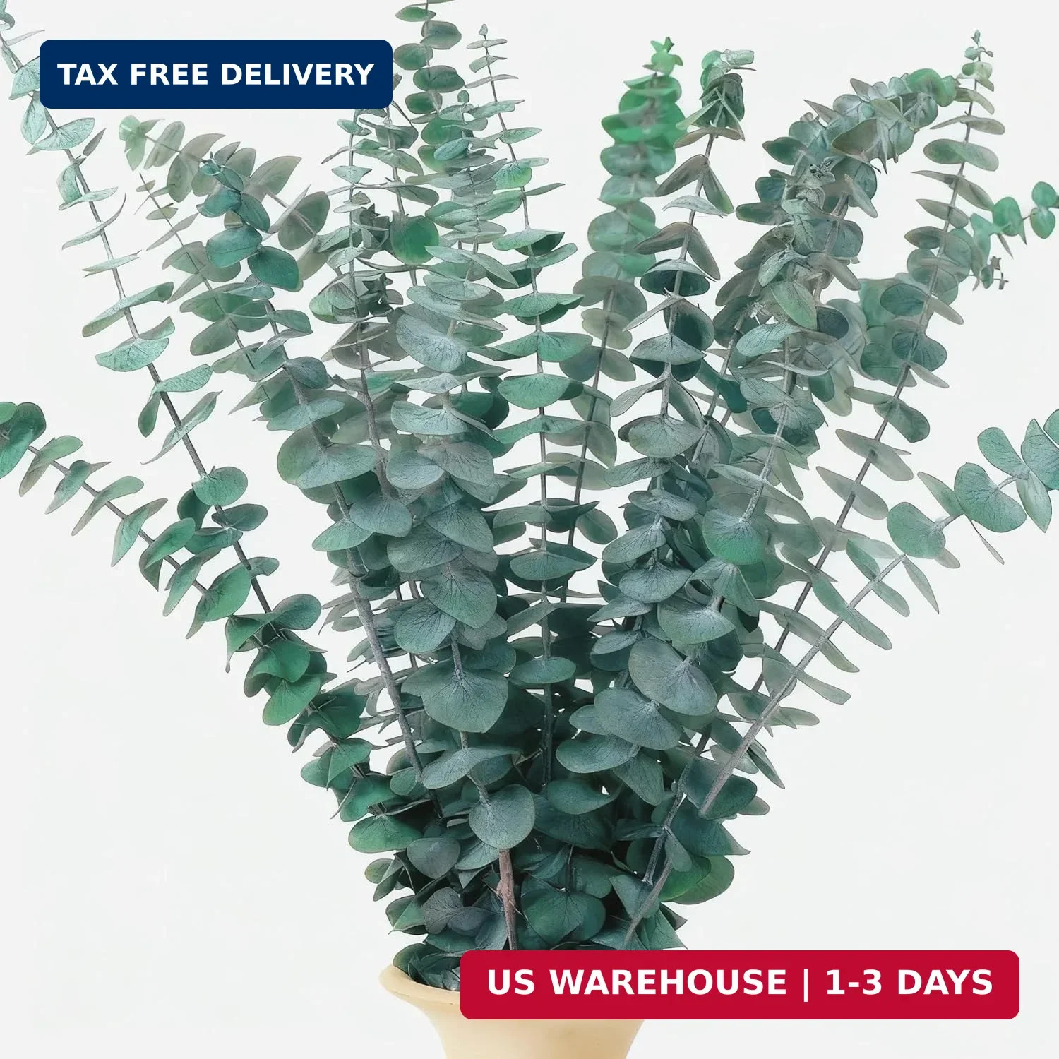 16 Pcs Dried Eucalyptus Stems, 17″ Real Preserved Eucalyptus Bouquet for Wedding